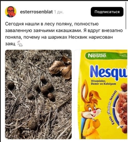 Сегодня нашли в лесу поляну, полностью заваленную зайчими какашками. Я вдруг внезапно поняла, почему на шариках Несквик нарисован заяц.