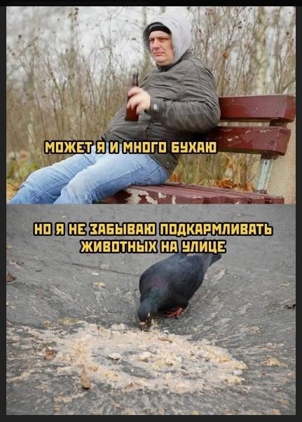 может я и много бухаю
но я не забываю подкармливать животных на улице