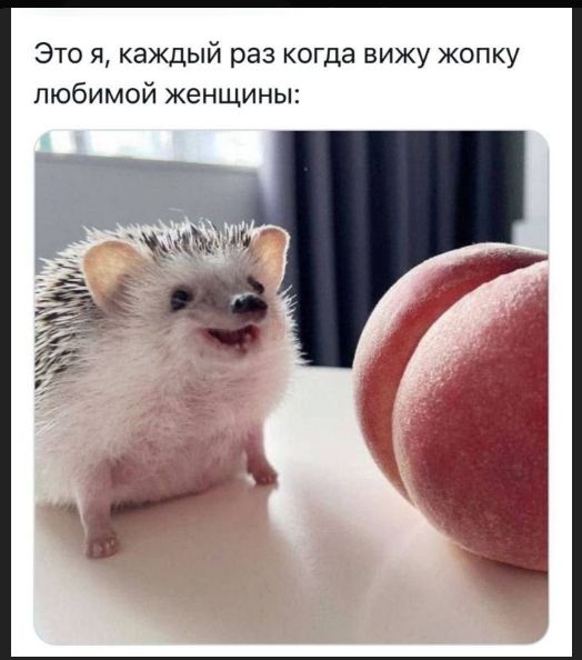 Это я, каждый раз когда вижу жопку любимой женщины:
