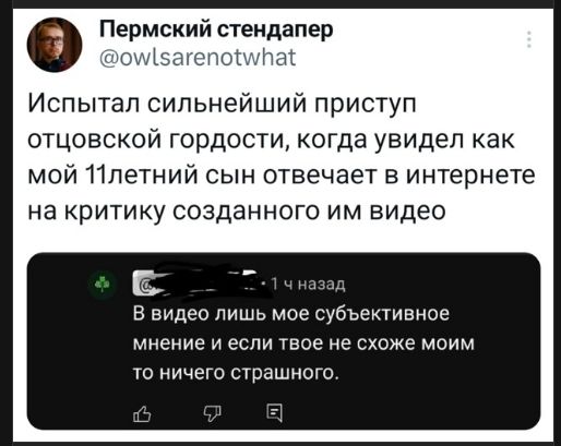 Испытал сильнейший приступ отцовской гордости, когда увидел как мой 11летний сын отвечает в интернете на критику созданного им видео
В видео лишь мое субъективное мнение и если твое не схоже с моим то ничего страшного.