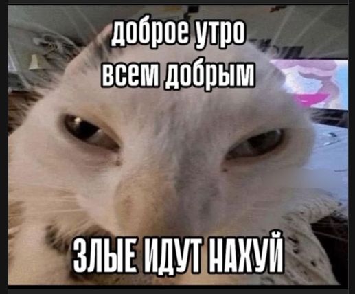 доброе утро всем добрым ЗЛЫЕ ИДУТ НАХУЙ