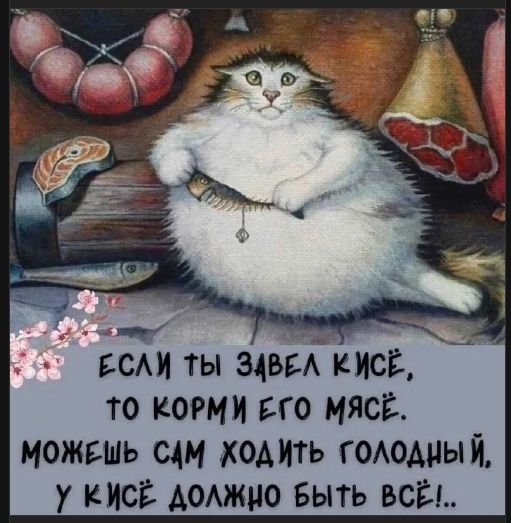 ЕСЛИ ТЫ ЗАВЕЛ КИСЕ,
ТО КОРМИ ЕГО МЯСОМ.
МОЖЕШЬ САМ ХОДИТЬ ГОЛОДНЫЙ,
У КИСЕ ДОЛЖНО БЫТЬ ВСЁ!!..