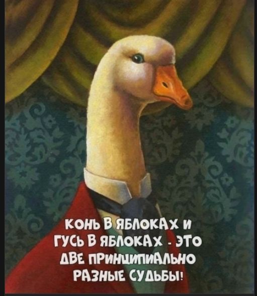 Конь в яблоках и гусь в яблоках - это две принципиально разные судьбы!