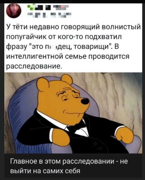 У тёти недавно говорящий волнистый попугайчик от кого-то подхватил фразу 