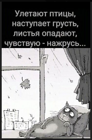 Улетают птицы, наступает грусть, листья опадают, чувствую - нажа́рюсь...