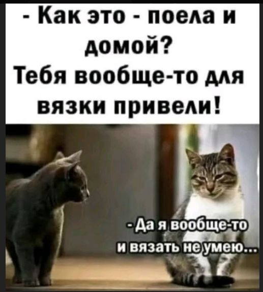 - Как это - поела и домой? Тебя вообще-то для вяжки привели! 
- Да я вообще-то и вязанть не умею...