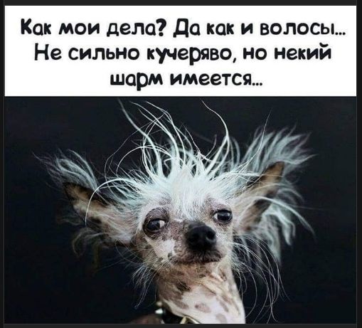 Как мои дела? Да как и волосы... Не сильно кучеряво, но некий шарм имеется...