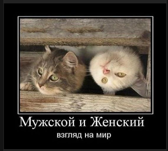 Мужской и Женский взгляд на мир