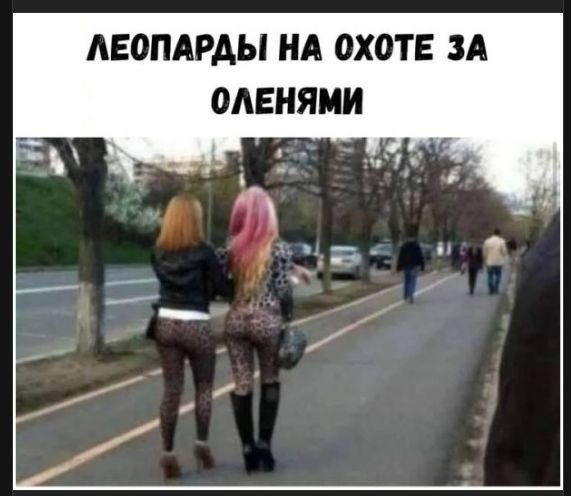ЛЕОПАРДЫ НА ОХОТЕ ЗА ОЛЕНЯМИ