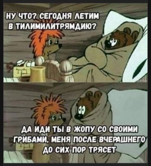 Ну что? сегодня летим в тилимиилитрямидию? Да иди ты в жопу со своими грибами, меня после вчерашнего до сих пор трясет