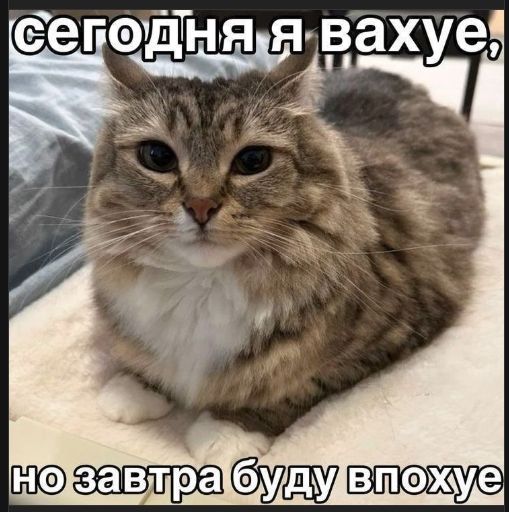 сегодня я ахуе, но завтра буду впохуе