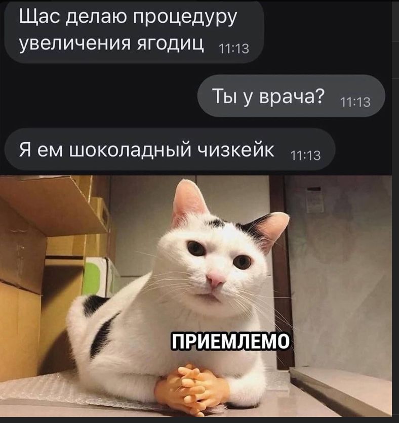 Щас делаю процедуру увеличения ягодиц
Ты у врача?
Я ем шоколадный чизкейк
ПРИЕМЛЕМО