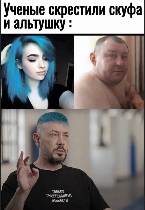 Учёные скрестили скуфа и альтушку :