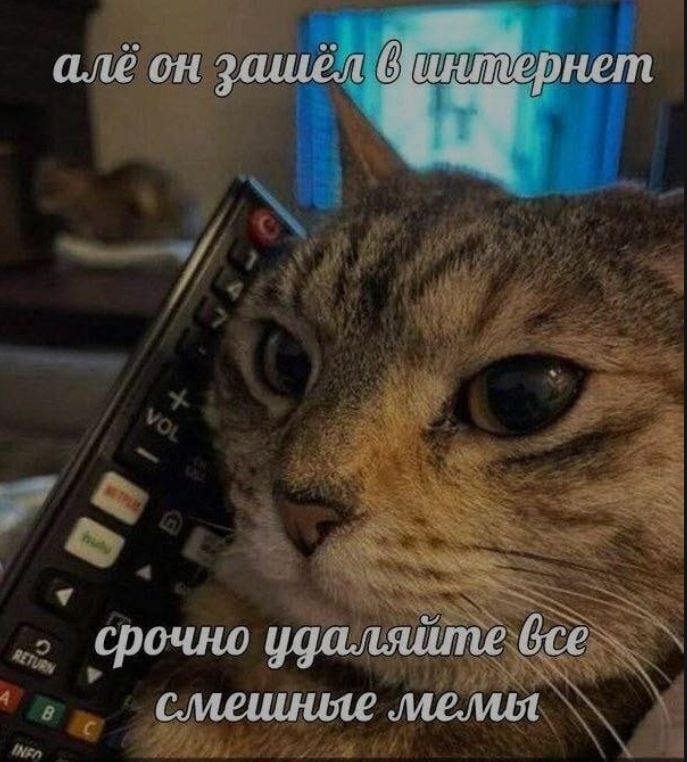 алё он зашёл в интернет срочно удаляйте все смешные мемы