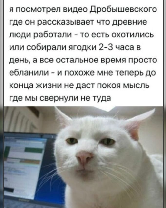 я посмотрел видео Дробышевского, где он рассказывает, что древние люди работали — то есть охотились или собирали ягодки 2–3 часа в день, а все остальное время просто ебались — и похоже мне теперь до конца жизни не даст покоя мысль, где мы свернули не туда
