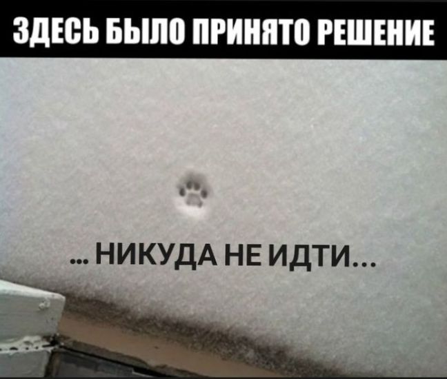 ЗДЕСЬ БЫЛО ПРИНЯТО РЕШЕНИЕ ... НИКУДА НЕ ИДТИ ...