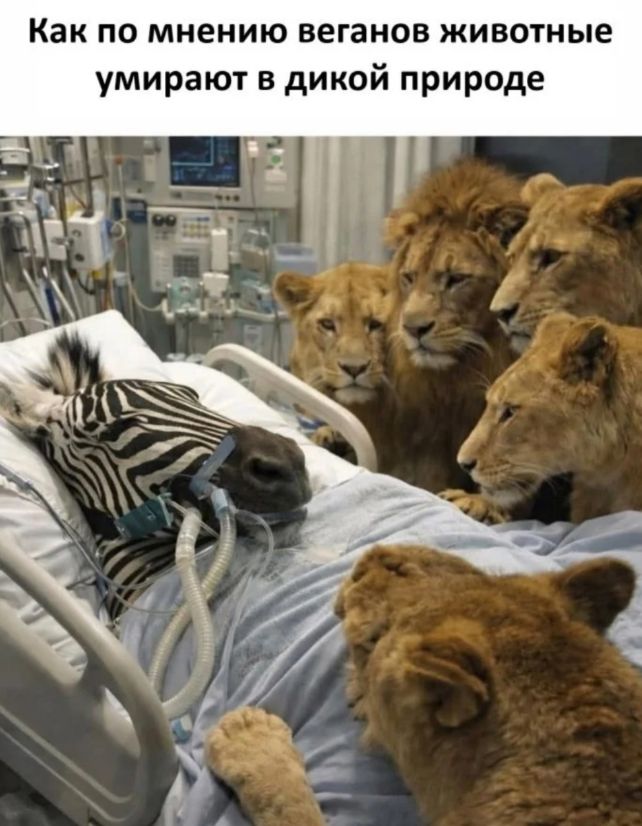Как по мнению веганов животные умирают в дикой природе