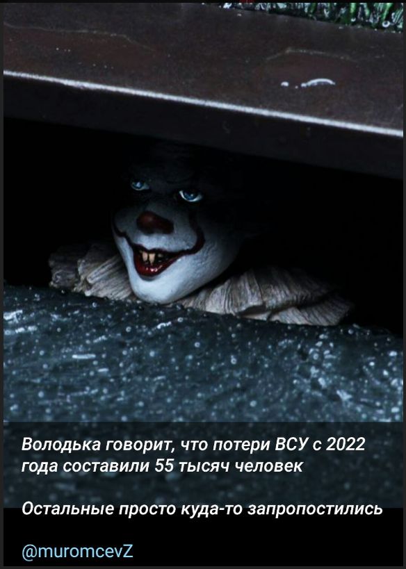 Володька говорит, что потери ВСУ с 2022 года составили 55 тысяч человек Остальные просто куда-то запропостились