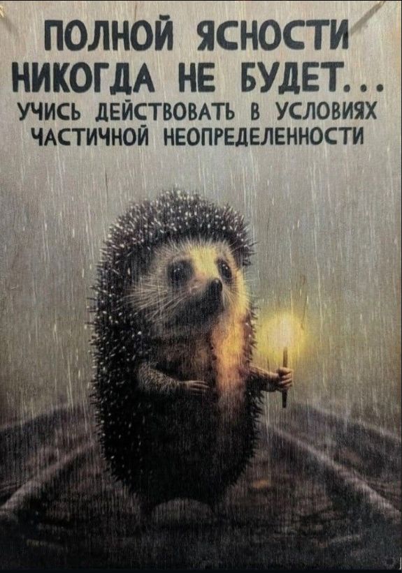 ПОЛНОЙ ЯСНОСТИ НИКОГДА НЕ БУДЕТ... УЧИСЬ ДЕЙСТВОВАТЬ В УСЛОВИЯХ ЧАСТИЧНОЙ НЕОПределенности