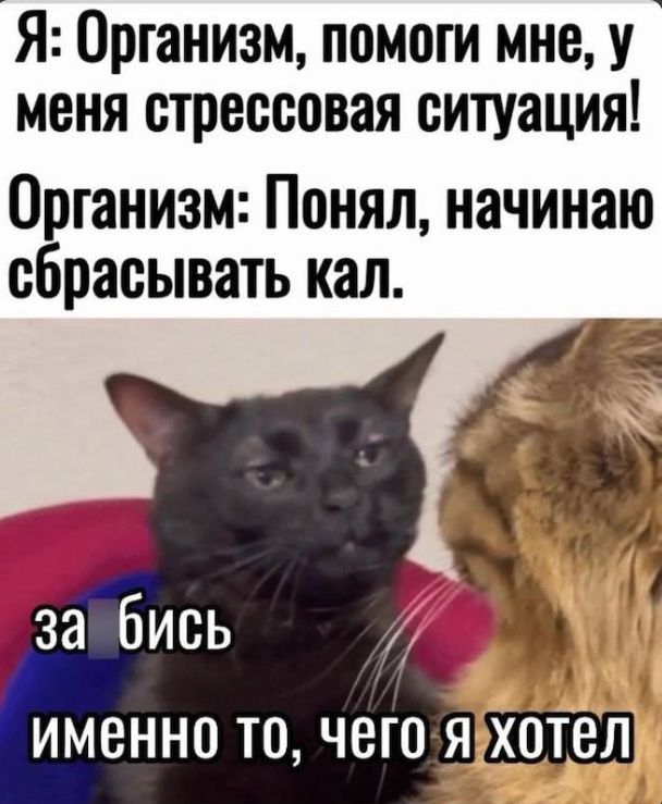 Я: Организм, помоги мне, у меня стрессовая ситуация! Организм: Понял, начинаю сбрасывать кал. за бись именно то, чего я хотел