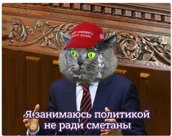 Я занимаюсь политикой не ради сметы