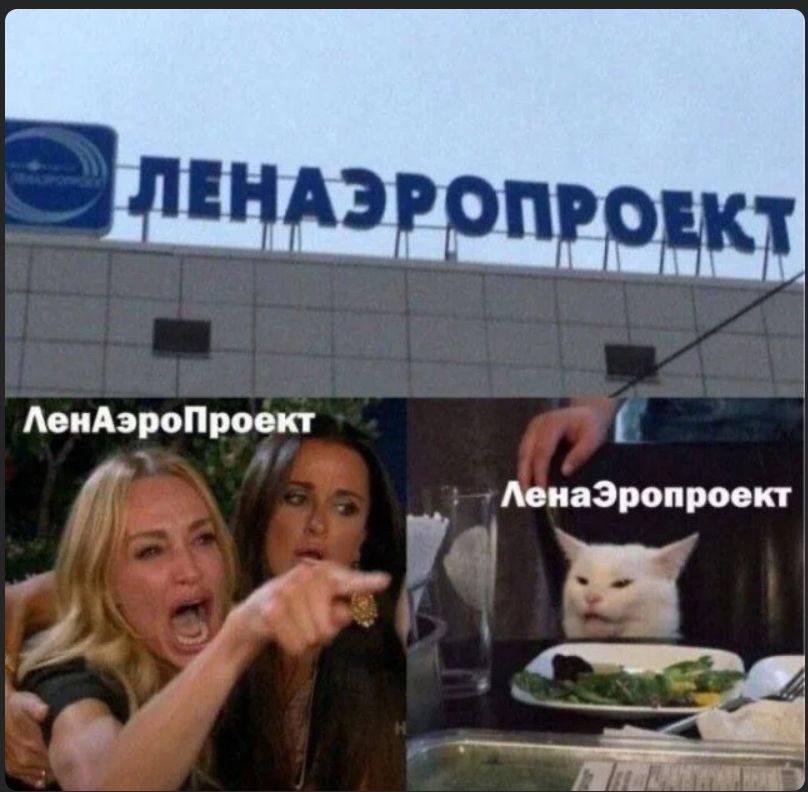 ЛЕНАЭРОПРОЕКТ; ЛенАэроПроект (коллаж: две женщины кричат, справа кот за столом).