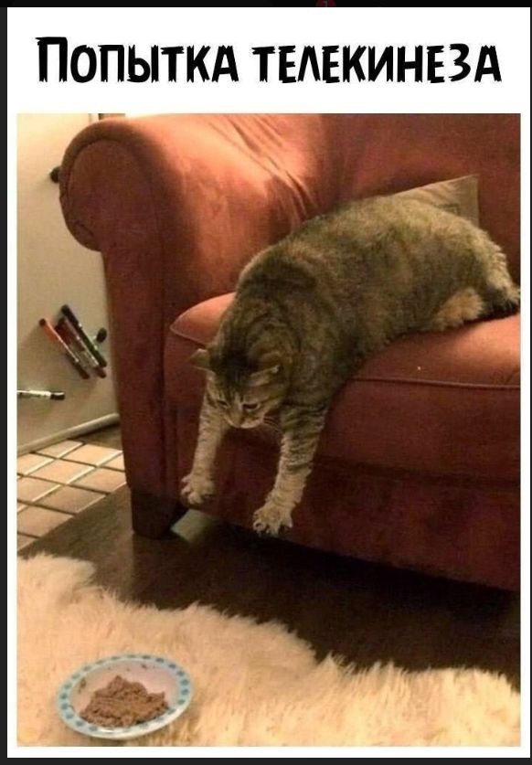 Попытка телекинеза