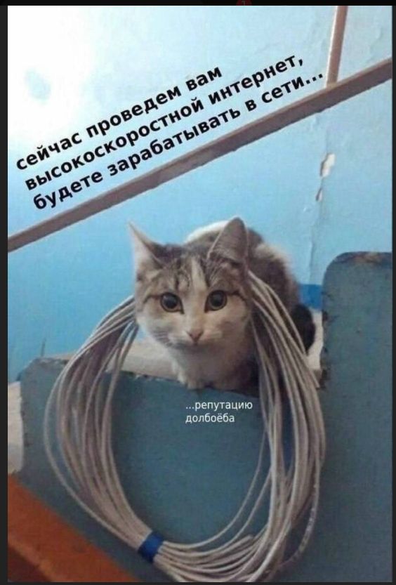 Сейчас проведем вам высокоскоростной интернет, будете зарабатывать в сети... 