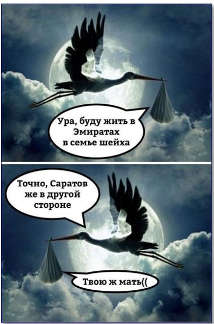 Ура, буду жить в Эмиратах в семье шейха Точно, Саратов же в другой стороне Твою ж мать((