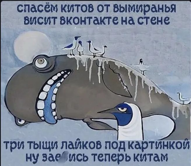 спасём китов от вымирания висит вконтакте на стене три тысячи лайков под картинкой ну заебись теперь китам