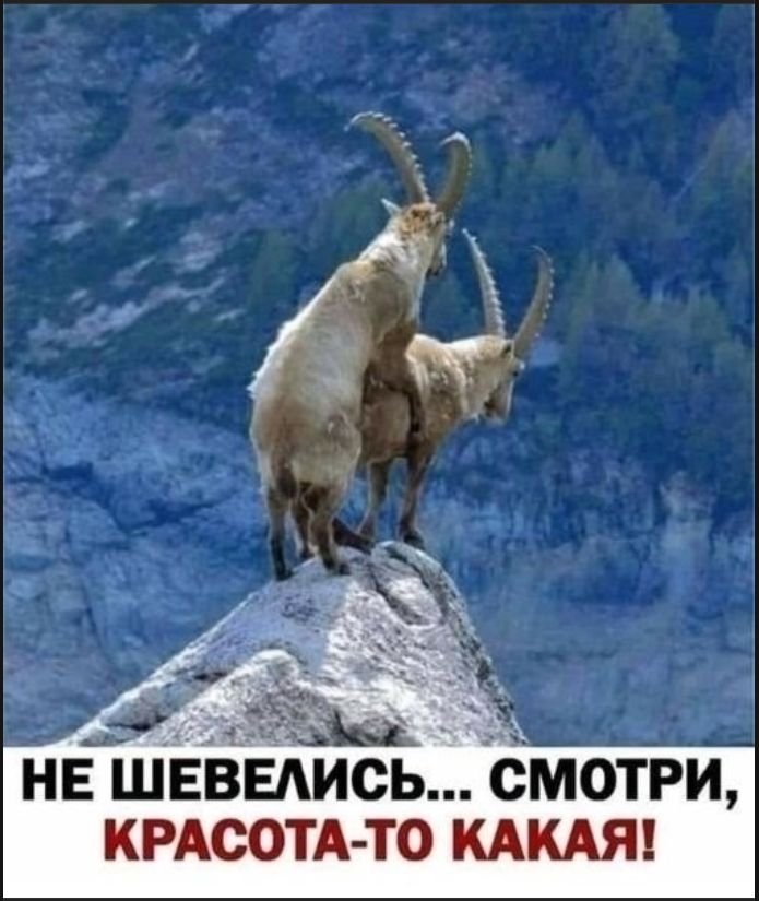 НЕ ШЕВЕЛИСЬ... СМОТРИ, КРАСОТА-ТО КАКАЯ!