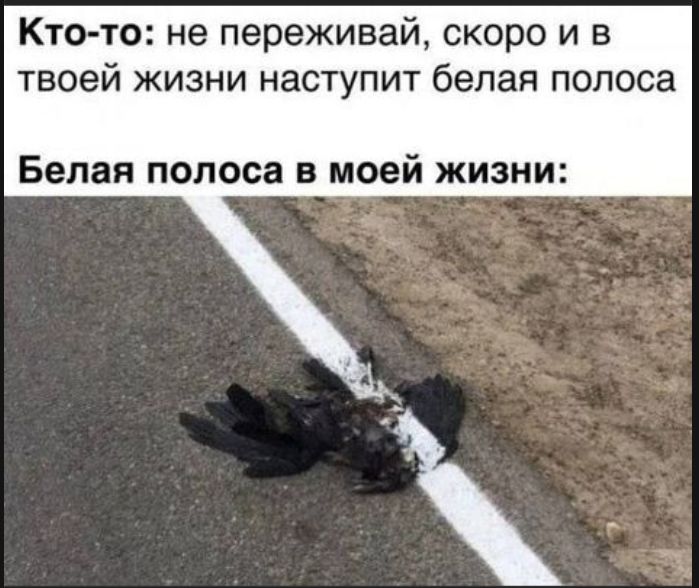 Кто-то: не переживай, скоро и в твоей жизни наступит белая полоса. Белая полоса в моей жизни: