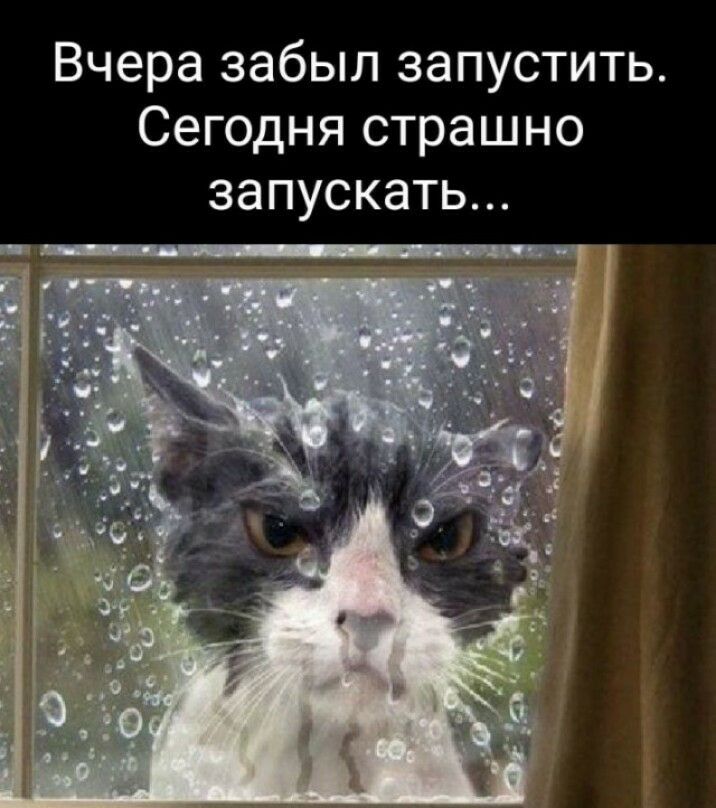 Вчера забыл запустить Сегодня страшно запускать