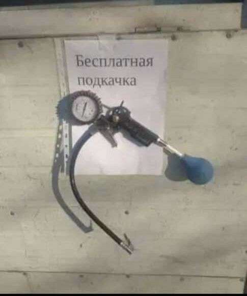 Бестатпая пщычм