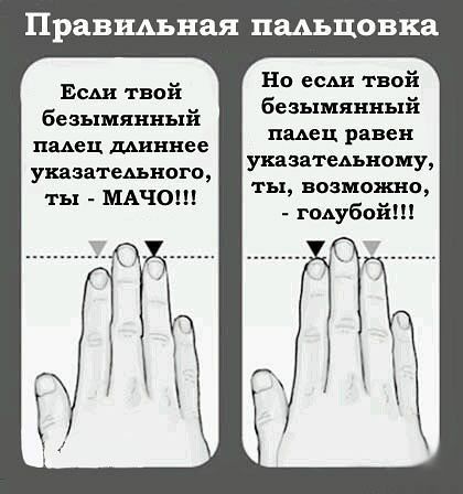 Правшхьная пшцовка Но есш твой безымянный шеи равен указатель хому ты возможно гоьубой Есш твой безымянный пмец дАиннее указа генного ты МАЧО