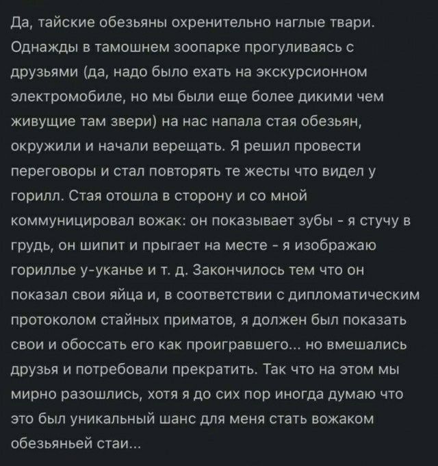 да тайские обезьяны окренительмо наглые твари Однажды тамошнем зоопарке прпгупинзясь друзьями да надо было ехать на экскурсиоимом электромобиле но мы были еще Более дикими чем живущие там звери на нас напала стая ибезьян окружили и начали навещать я решил провести перегпвпры и стал повторять те жесты что видел у горилл Стая отошла в сторону и со мной коммунициронел вожак он показывает зубы я сту у