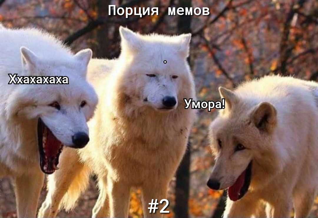 хаіаіаха