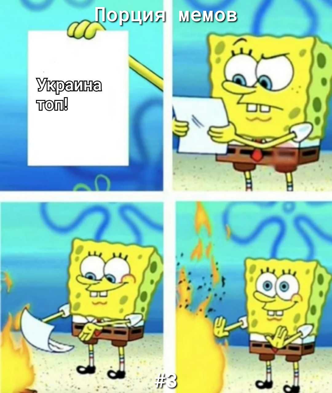 Цорцшя 3733