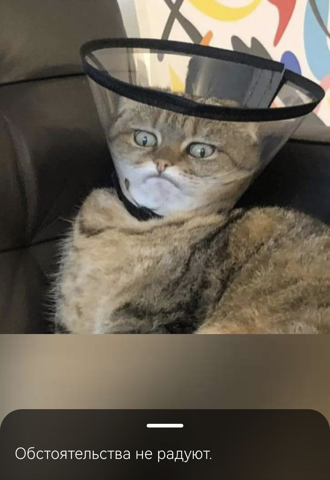 Обстоятельства не радуют