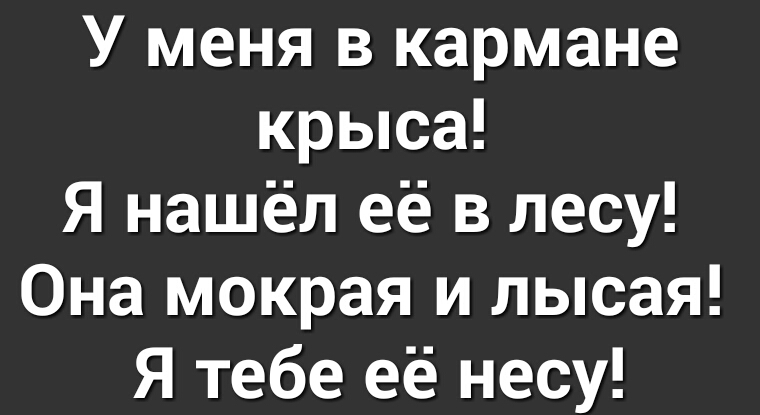 У меня в кармане крыса Я нашёл её в лесу Она мокрая и лысая Я тебе её несу