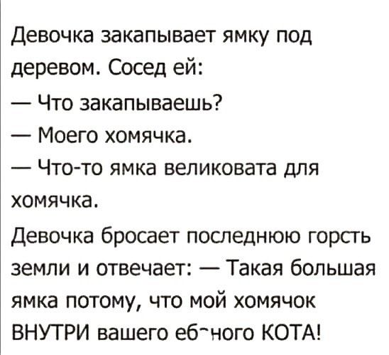 Девочка закапывает ямку под деревом Сосед ей Что закапываешь Моего хомячка Чтото ямка великовата для хомячка Девочка бросает последнюю горсгь земли и отвечает Такая большая ямка потому что мой хомячок ВНУТРИ вашего ебного КОТА