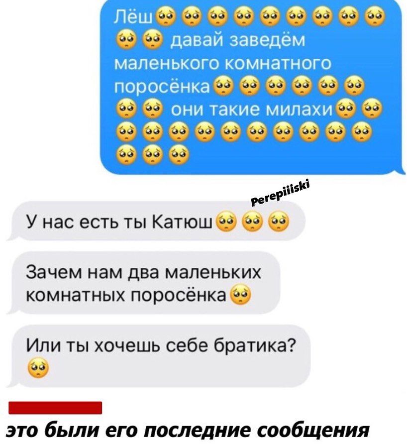 00 сосоо 06 со очесосоооо 00 У нас есть ты КатюшО О 0 Зачем нам два маленьких комнатных поросёнка Или ты хочешь себе братика _ это были его последние сообщения