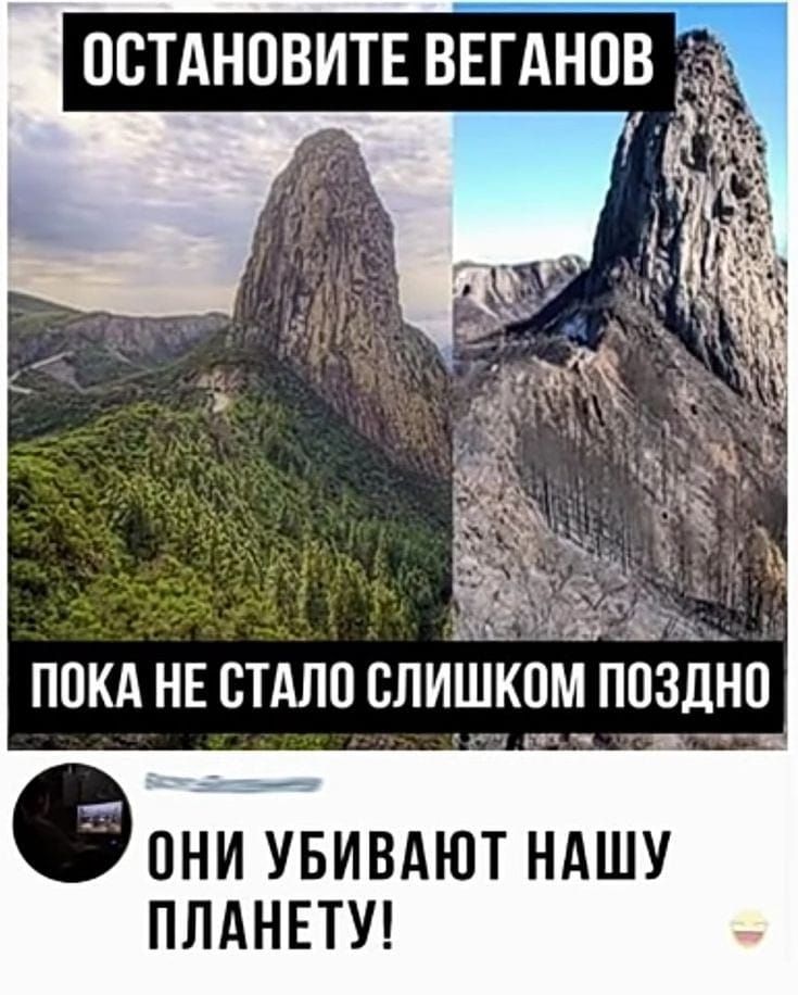 ппкд НЕ стдлп слиЁиком пойти ОНИ УБИВАЮТ НАШУ ПЛАНЕТУ