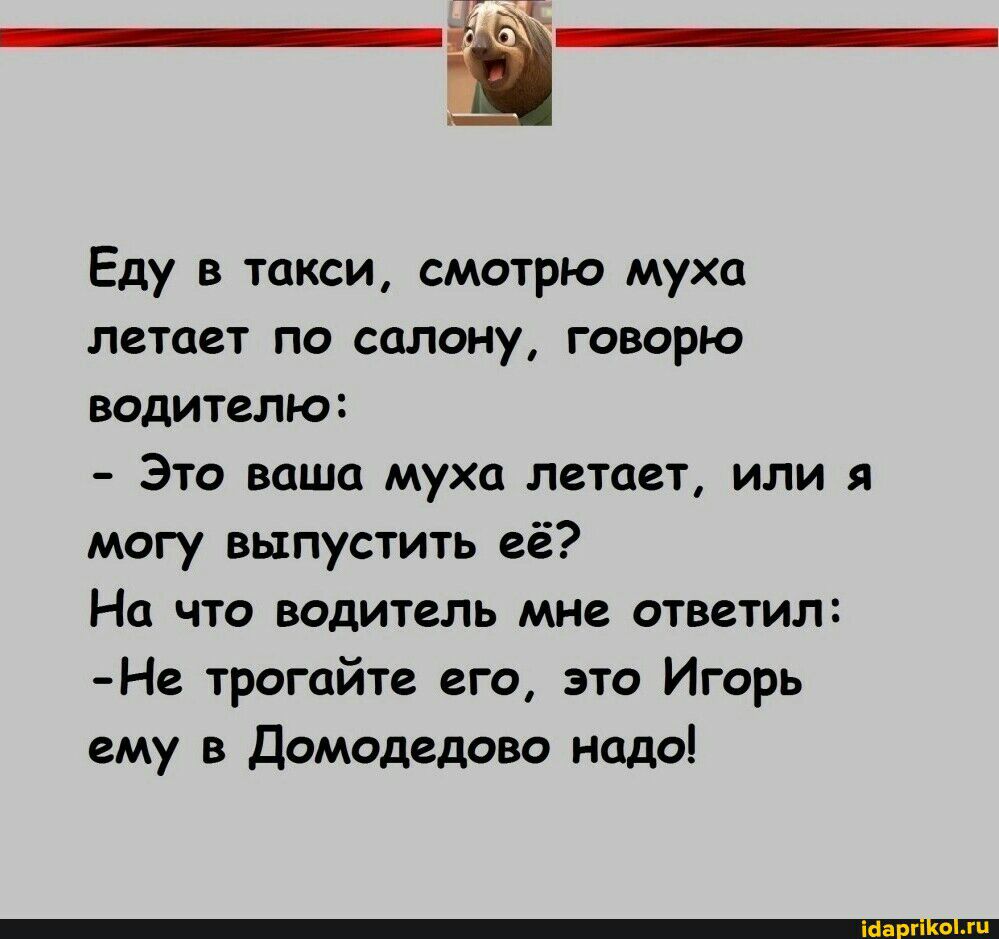 Еду в такси смотрю муха летает по салону говорю водителю Это ваша муха летает или я могу выпустить её Но что водитель мне ответил Не трогайте его это Игорь ему в домодедово надо