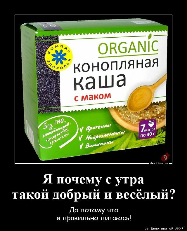 Я почему с утра такой добрый и весёлый Да потаму что я правильно питты