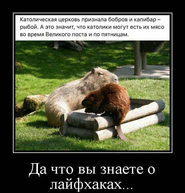 Да что вы знаете о лайфхаках __