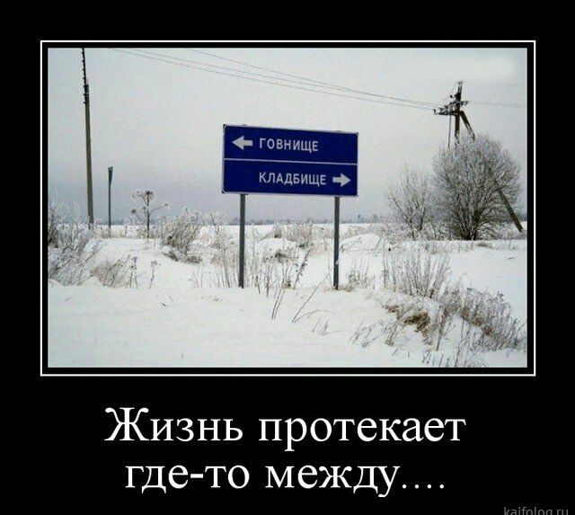 Жизнь протекает где то между