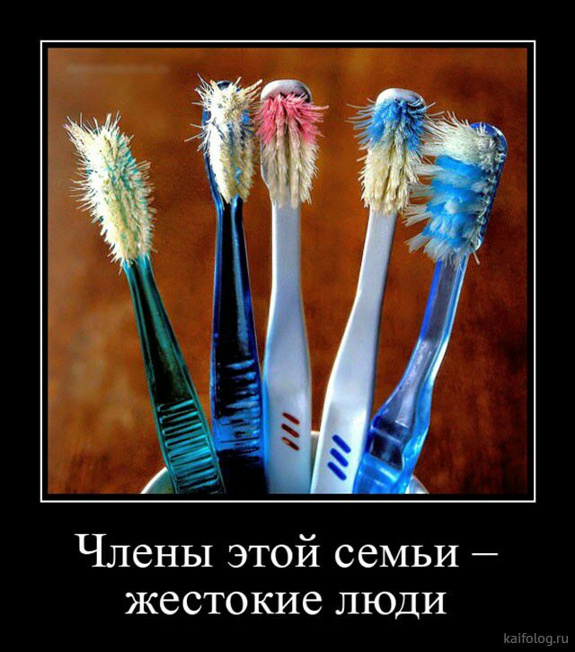 Члены этой семьи жестокие люди