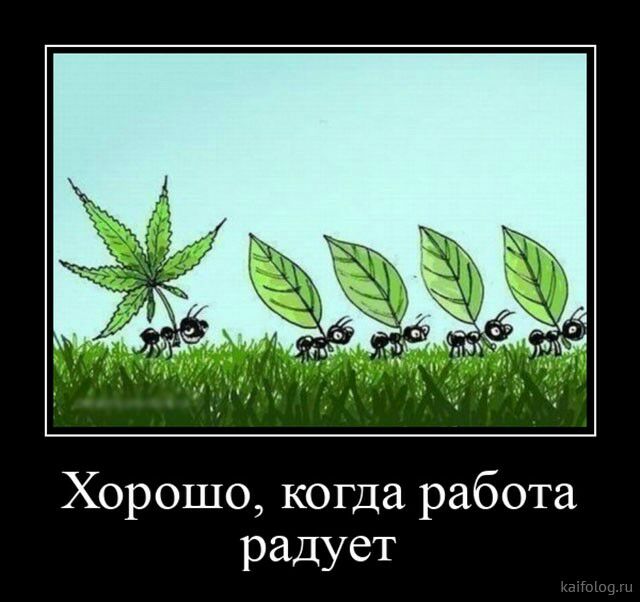Хорошо когда работа радует