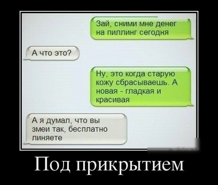 зап ц ночи епа А чт ЭГО 7 цдычпы и пить энг А нню ъ А я думал что БЫ змеи так бесппатно ппияете Под прикрытием